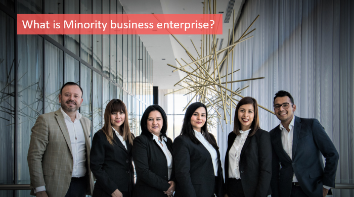 What-is-minority.business-enterprise